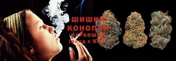 гидра Армянск