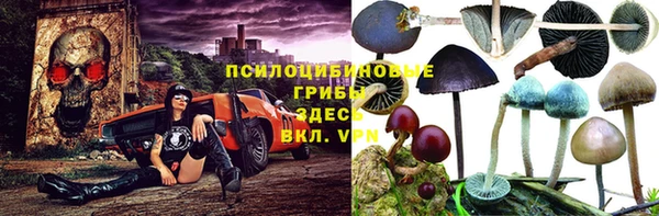каннабис Аркадак