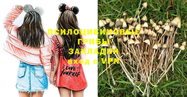 гидра Армянск